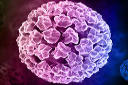 Λοίμωξη με τον ιό των ανθρώπινων θηλωμάτων (HPV- human papillomavirus)